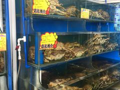 -蚝专家(北滘店)