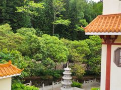 -深圳仙湖植物园