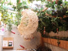 -觅豆豆花甜品(望平街店)