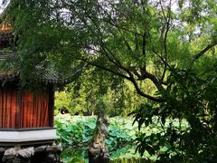 景点-墅园