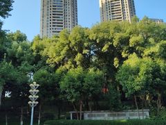 -重庆市江北嘴中央商务区中央公园