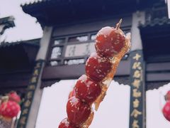 -花锦堂·隐庐