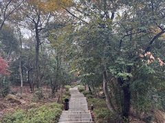 -岳麓山风景名胜区