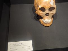 -上海崧泽遗址博物馆