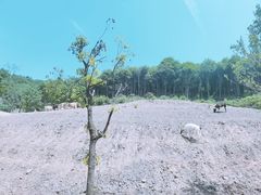 -杭州野生动物世界
