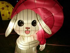 -映月湖公园