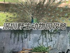 -深圳野生动物园