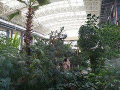 -郑州银基黄帝宫御温泉