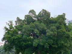 -白沙门生态公园