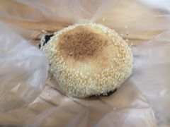 -东四卤煮店(东四北大街店)