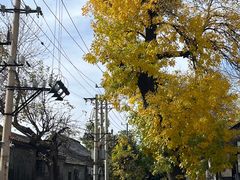 -隆福寺小吃店(东四店)