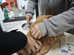 -瑞鹏瑞爱宠物医院·全科·猫科·血液透析中心(龙头寺店)