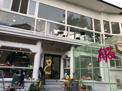 -有猫主题·治愈系猫咖(曾厝垵店)