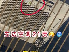 -探窝·竹笙椰子鸡(杨箕店)