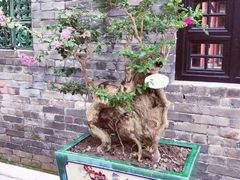 -东莞市可园博物馆