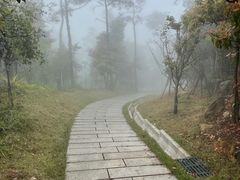 -鼓岭旅游度假区