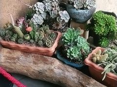 -天怡·鱼工厂(梅溪湖店)
