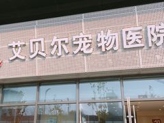 -艾贝尔宠物医院·24H转诊中心·肿瘤猫专科(江宁双龙店)