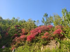 -西泰山风景区