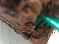 -星巴克臻选(郑州国贸360广场店)