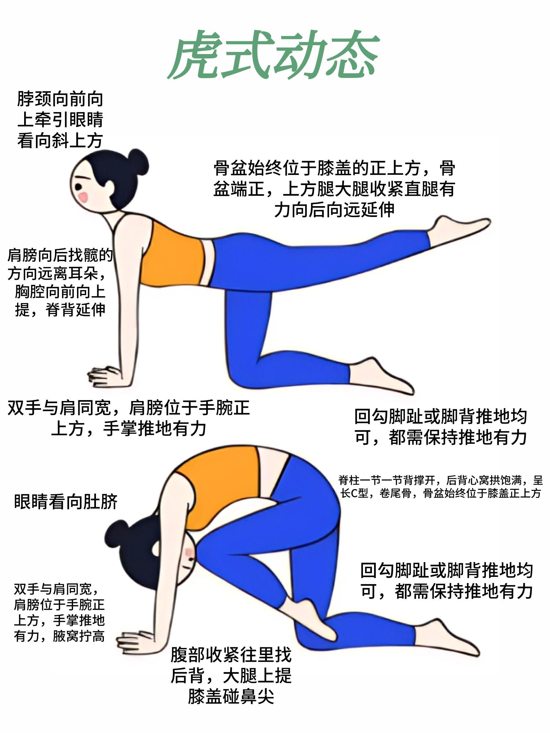 瑜伽猫式变体进阶版,你能做到第几个?
