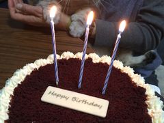 -派悦坊·甜品·蛋糕(日坛店)