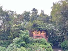 -峨眉山报国寺