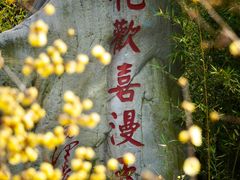 -三圣花乡旅游区