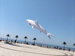-长兴岛海滨公园