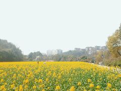 -贵阳市花溪国家城市湿地公园