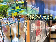 -万达广场(济南魏家庄店)