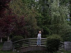 -月湖风景区