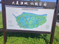 -盐城丹顶鹤湿地生态旅游区