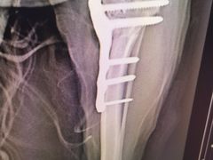 -爱侣宠医·鹦鹉专科·小型哺乳类·异宠专科(灵石路店)