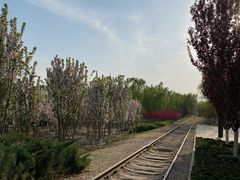 -永定河休闲森林公园