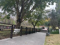 -沐仙湖湿地公园