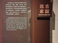 -金沙遗址博物馆