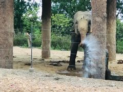 -清迈夜间动物园