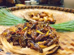 -昆虫窝子·特色云南菜(拓东路总店)