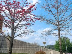 -飞凤山奥体公园