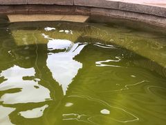 -华侨城阳宗海海景温泉