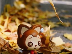 -三里屯东五街银杏大道