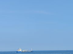 -秦皇岛野生动物园