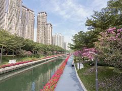 -食其家·牛丼咖喱(湾厦店)