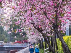 -文华公园(禅城区)