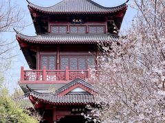 -堤角公园
