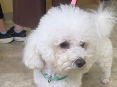 -美联众合动物医院·24h转诊中心