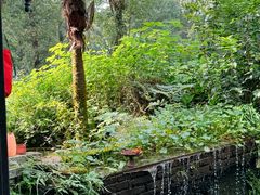 -野蔓果·山野菜(西湖景区·龙井茶田店)