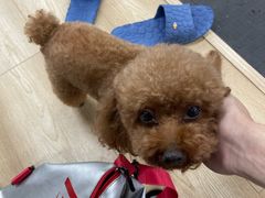 -FIGHTMAN格斗俱乐部(长宁临空店)