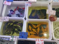 -正佳极地海洋世界